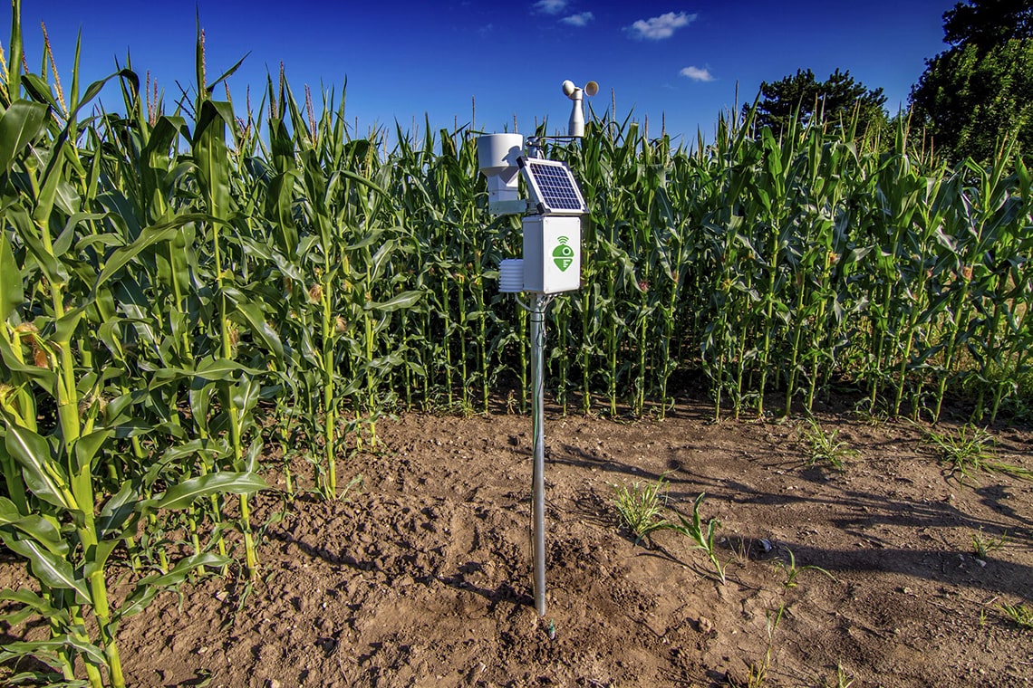 Digital Farming: sensori